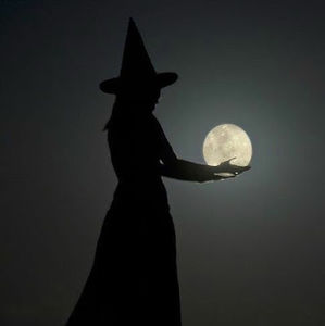 Meet your Posher, Jodie